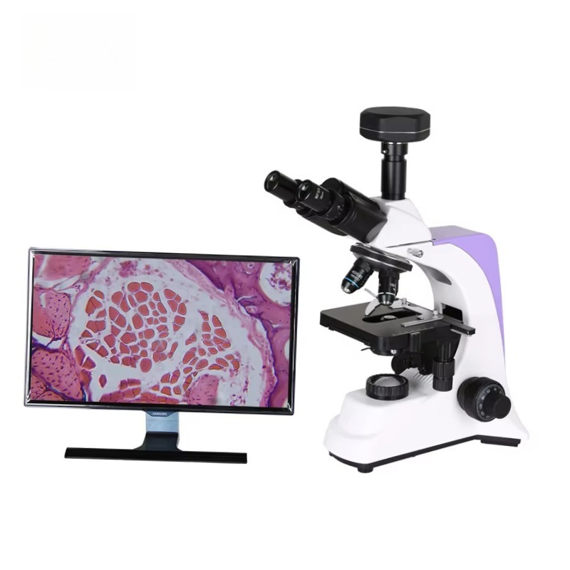 Medical Laboratory Scientist - Mikroskop cyfrowy laboratoryjny 2026 do zastosowań